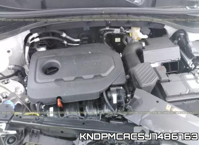 KNDPMCAC5J7486763 фото 2