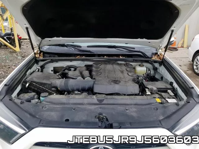 JTEBU5JR9J5603603 фото 8