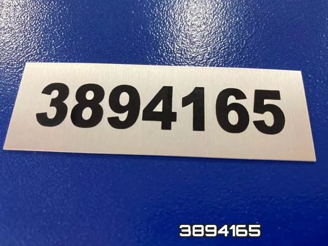 3894165 фото 9