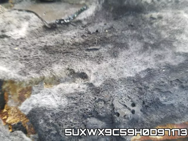 5UXWX9C59H0D97173 фото 9