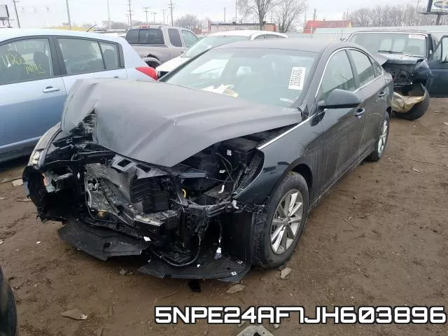 5NPE24AF7JH603896 фото 3