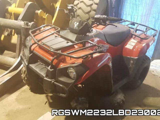 RGSWM2232LBD23002 фото 3