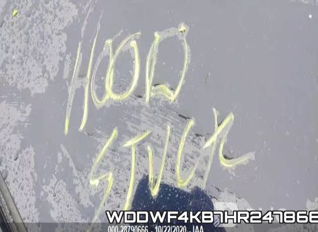 WDDWF4KB7HR247866 фото 2