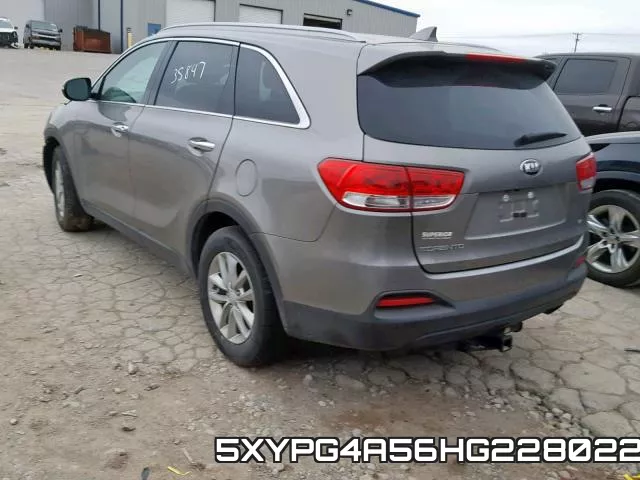 5XYPG4A56HG228022 фото 4