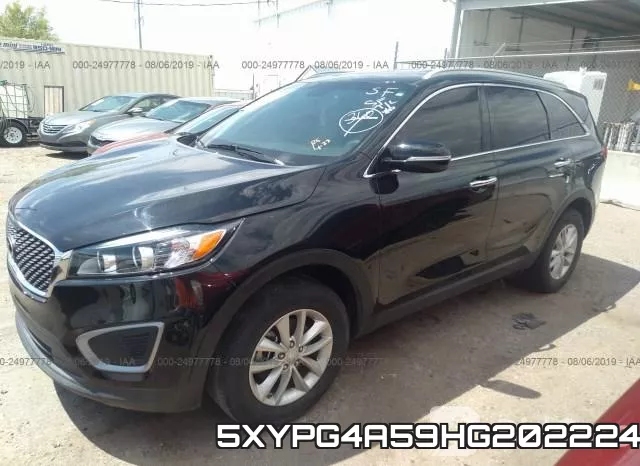 5XYPG4A59HG202224 фото 3