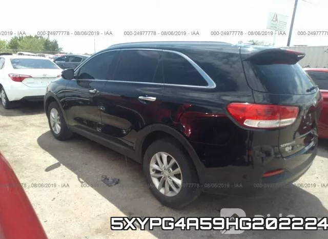 5XYPG4A59HG202224 фото 4
