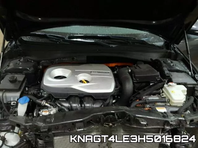 KNAGT4LE3H5016824 фото 8