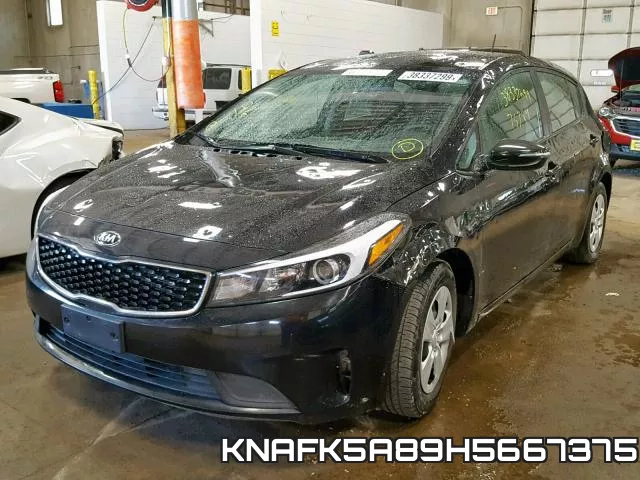 KNAFK5A89H5667375 фото 3