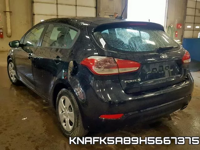 KNAFK5A89H5667375 фото 4