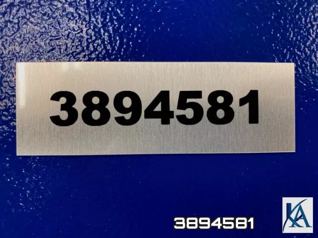 3894581 фото 2