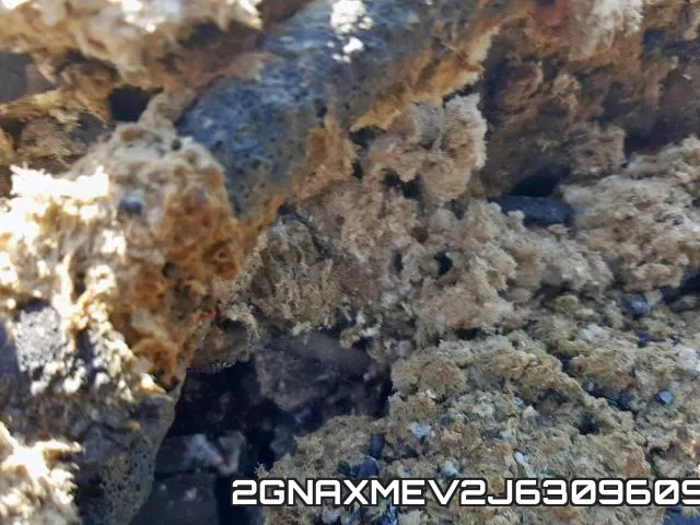 2GNAXMEV2J6309609 фото 9