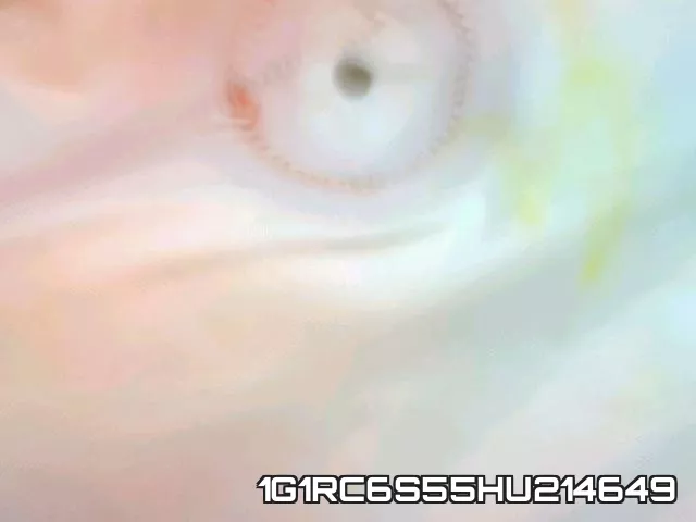 1G1RC6S55HU214649 фото 7