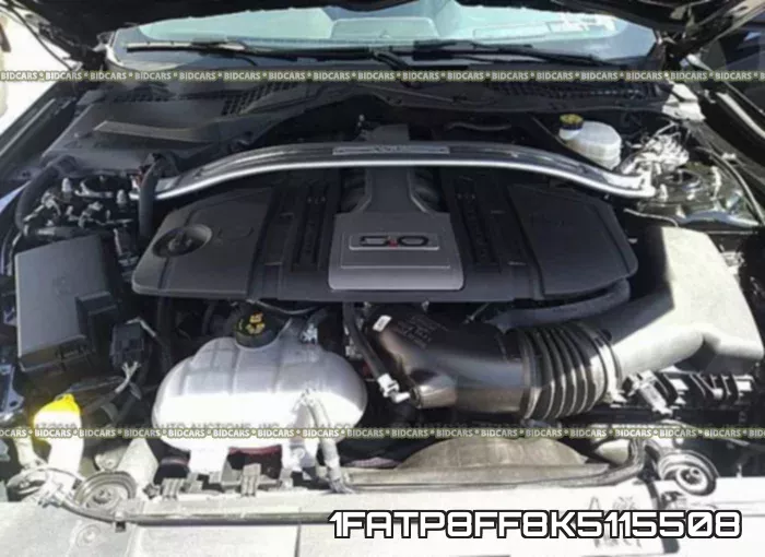 1FATP8FF8K5115508 фото 2