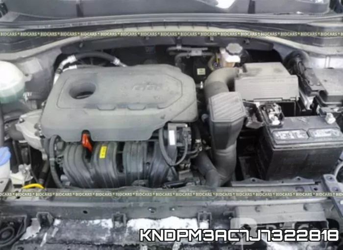 KNDPM3AC7J7322818 фото 2