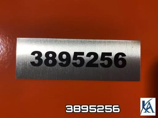 3895256 фото 2