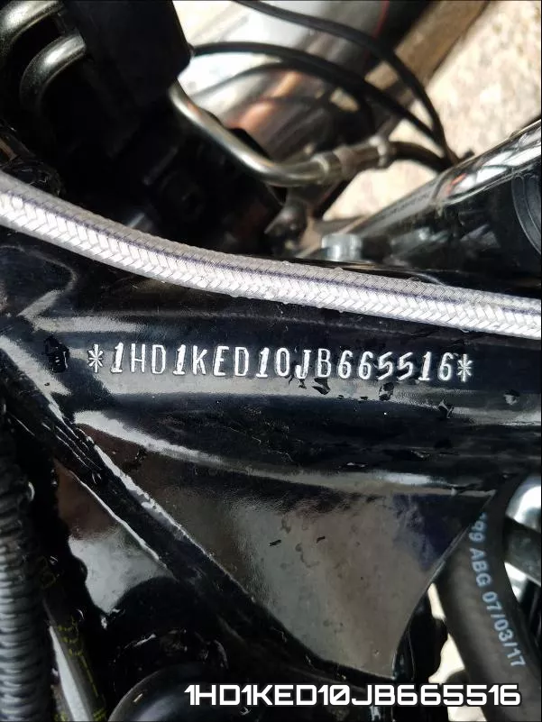 1HD1KED10JB665516 фото 2