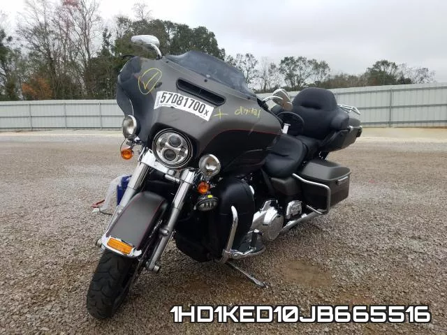 1HD1KED10JB665516 фото 3