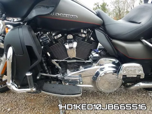 1HD1KED10JB665516 фото 6