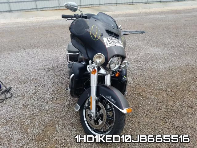 1HD1KED10JB665516 фото 8