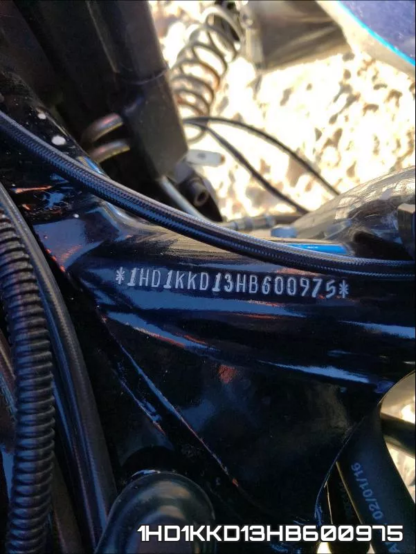1HD1KKD13HB600975 фото 2