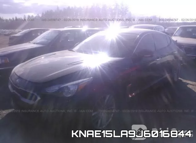 KNAE15LA9J6016844 фото 3