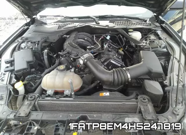1FATP8EM4H5247819 фото 2