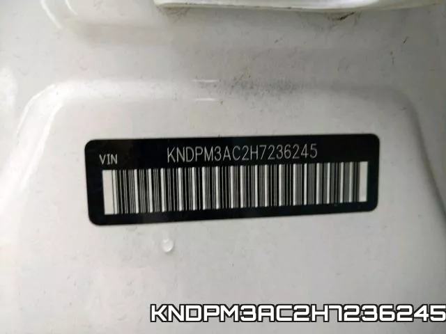KNDPM3AC2H7236245 фото 2